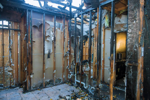 Professional Smoke Damage Removal technician working in Forrest, IL